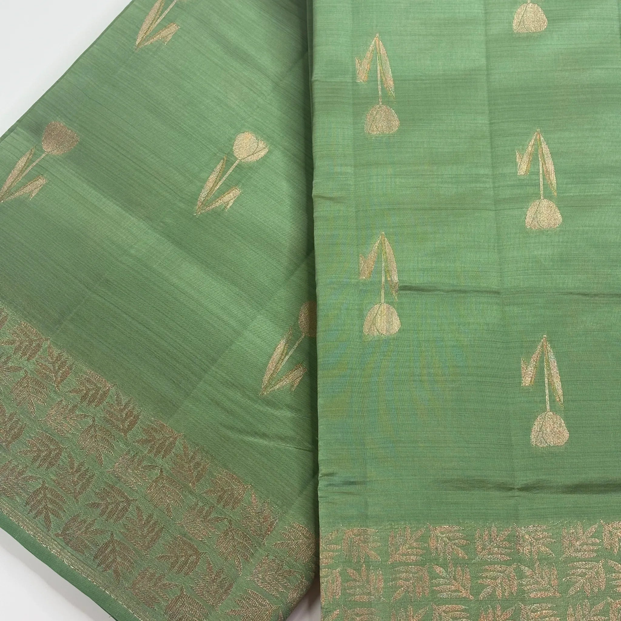 Rich Pista Green – Tussar Jutt Handloom with Butta and Rich Pallu | M0-003